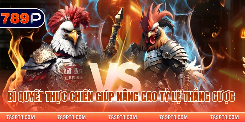 Bí quyết thực chiến giúp nâng cao tỷ lệ thắng cược