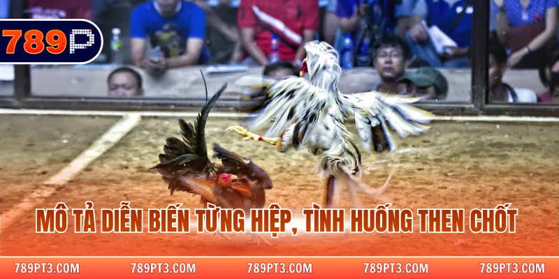 Mô tả diễn biến từng hiệp, tình huống then chốt